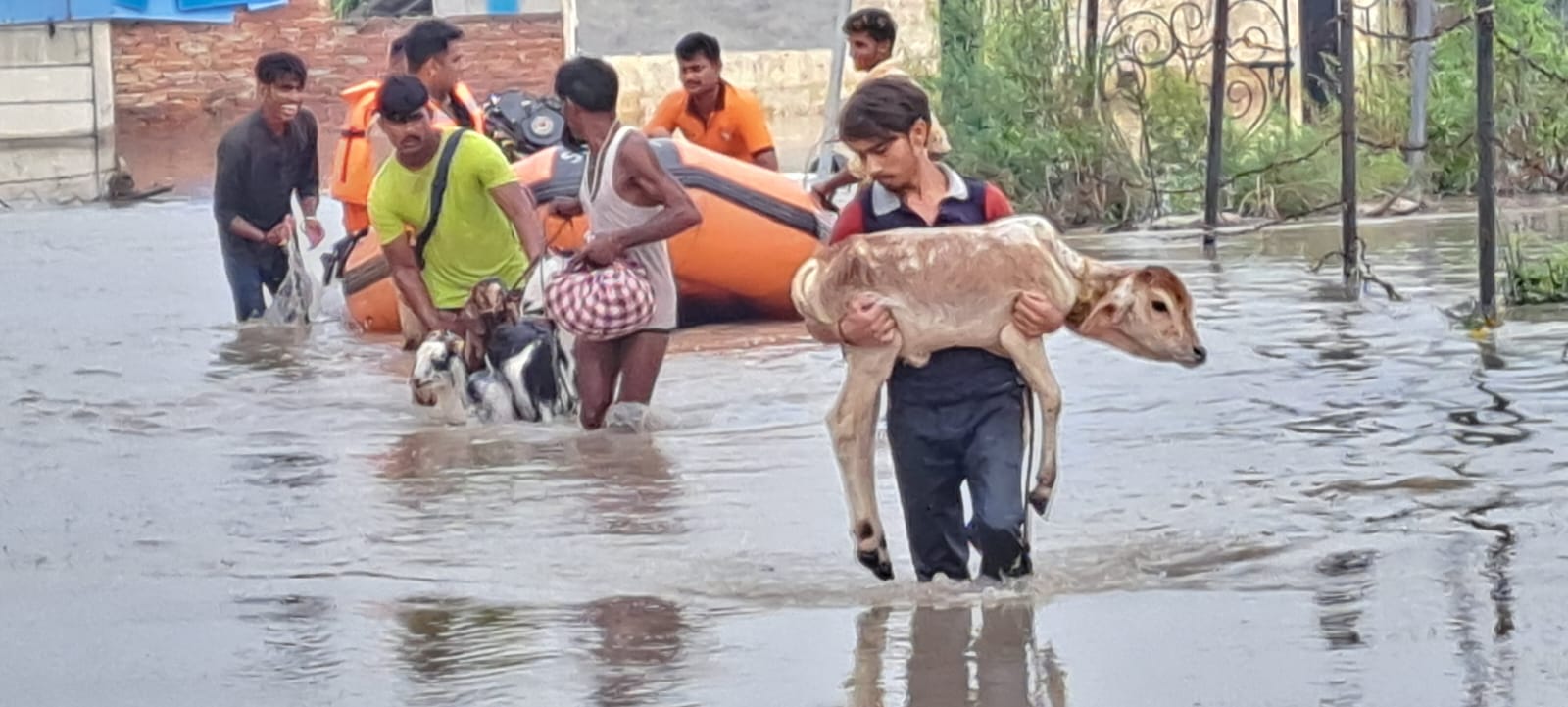 आपदा मित्र प्रशिक्षण कार्यक्रम